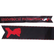 Legénybúcsú folyamatban feliratú parti vállszalag